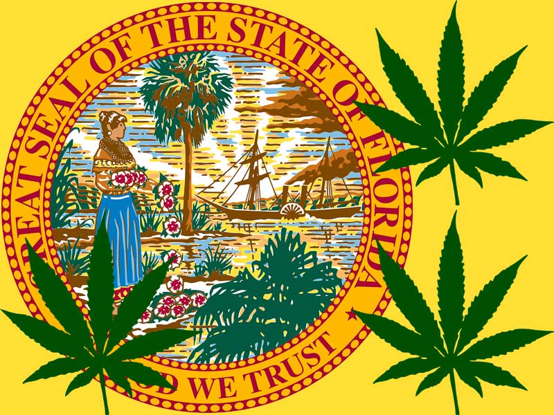 Florida state seal and marijuana leaves