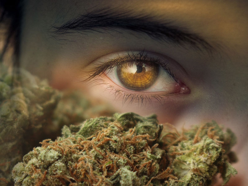 Composite image of an eye and marijuana