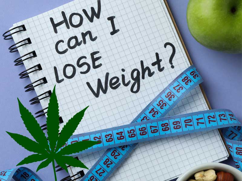 Medical Marijuana and Weight Loss: What You Should Know