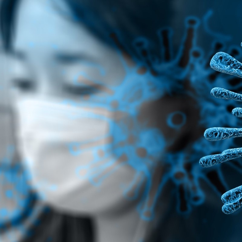 Immune System